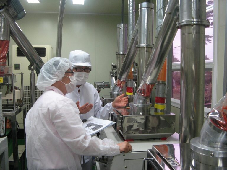 How to Choose the Right Food Processing Equipment for Your Business
